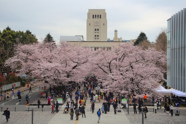 日本留学一年费用是多少钱？