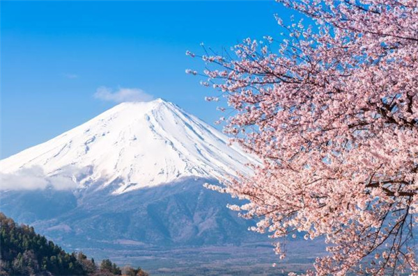 日本留学有哪些福利政策？